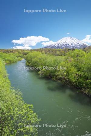 羊蹄山と尻別川