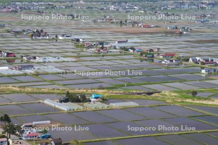 水田と田園風景