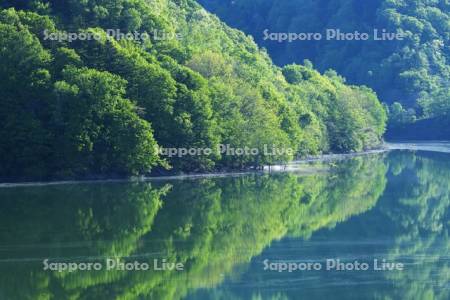 新緑の桂沢湖