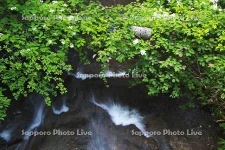 ラルマナイの滝