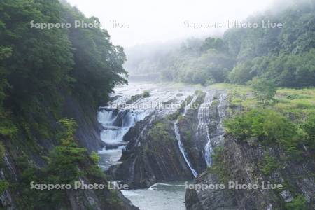 滝の上公園の千鳥ヶ滝と朝霧