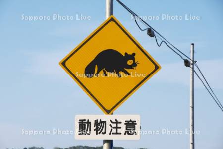 タヌキの動物注意標識