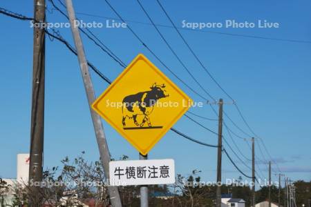 牛横断注意の道路標識