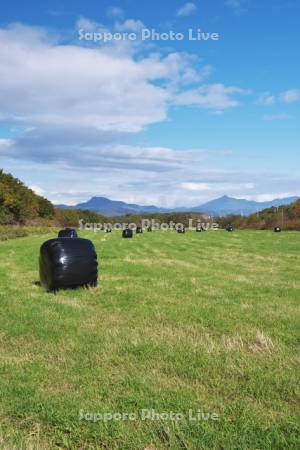 知床連山（右）と牧草ロール