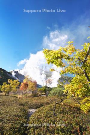 硫黄山の秋