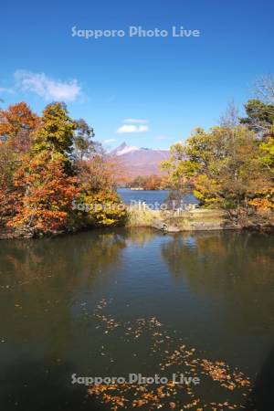 大沼と駒ケ岳の秋