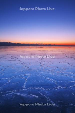 根室湾の朝　ハス葉氷