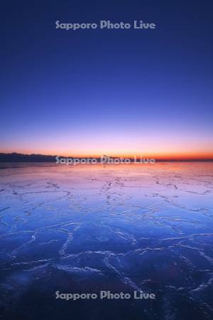 根室湾の朝　ハス葉氷