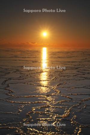 根室湾の日の出　ハス葉氷