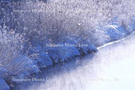 雪裡川とダイヤモンドダストと樹氷