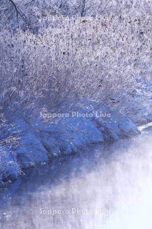 雪裡川とダイヤモンドダストと樹氷