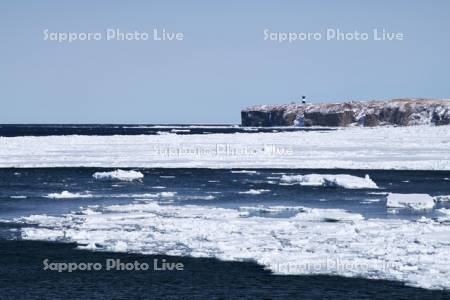 能取岬とオホーツク海と流氷