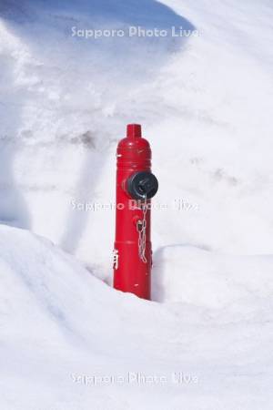 雪と消火栓