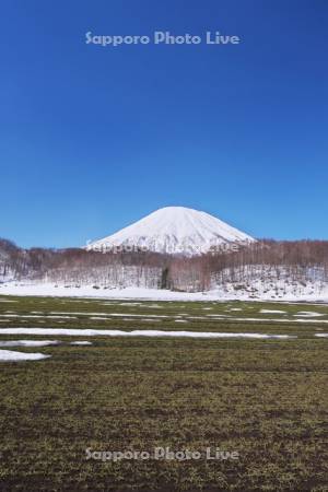 羊蹄山と残雪の農地