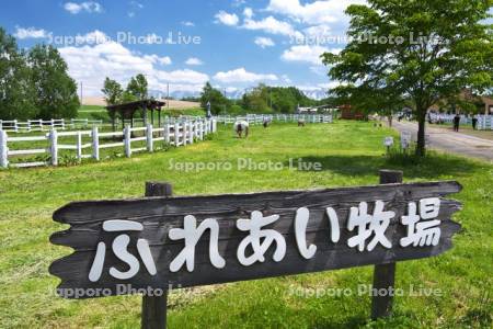 ファームズ千代田のふれあい牧場