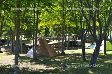 羊蹄山自然公園のキャンプ場