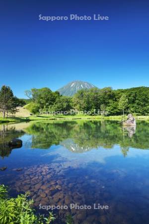 羊蹄山とふきだし公園