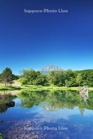 羊蹄山とふきだし公園