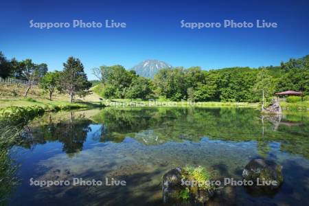 羊蹄山とふきだし公園