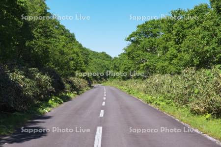 オロフレ峠の道