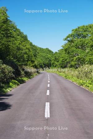 オロフレ峠の道