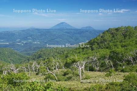 オロフレ峠展望台より望む羊蹄山