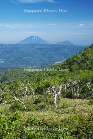 オロフレ峠展望台より望む羊蹄山