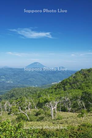 オロフレ峠展望台より望む羊蹄山