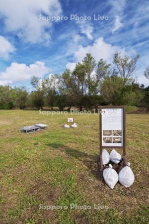 田小屋野貝塚