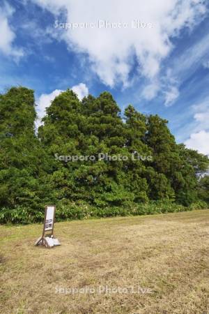田小屋野貝塚