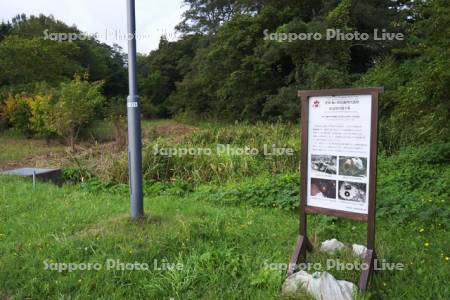 亀ヶ岡石器時代遺跡