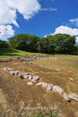 小牧野遺跡