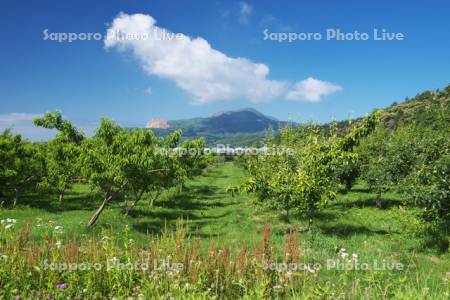 果樹園と昭和新山(左)と有珠山(右)