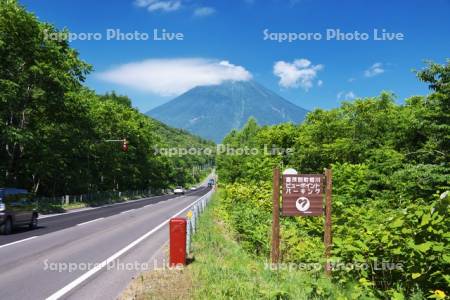羊蹄山と道（国道276）