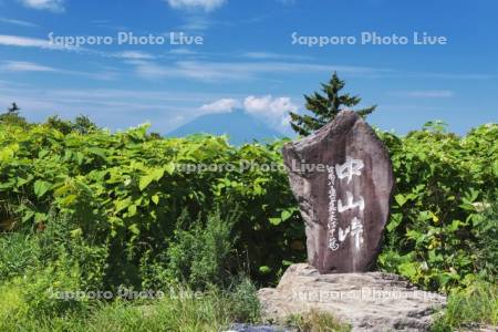 中山峠と羊蹄山