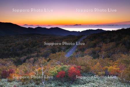 知床峠付近より望む国後島の朝と知床横断道路と紅葉