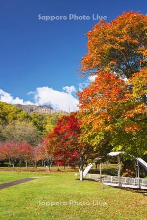 山部自然公園の紅葉と夕張山地