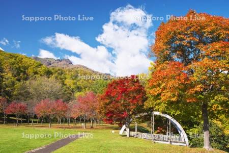 山部自然公園の紅葉と夕張山地