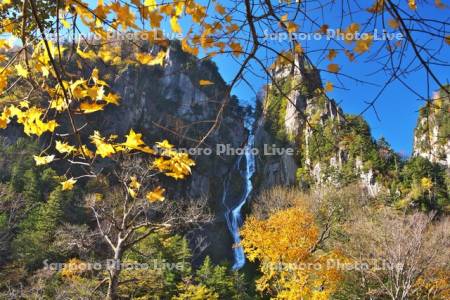 層雲峡　銀河の滝と紅葉