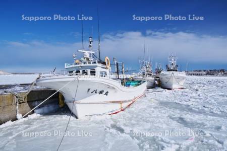 根室港の漁船と流氷