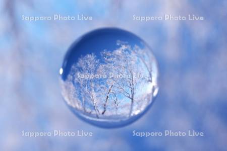 オロフレ峠の樹氷