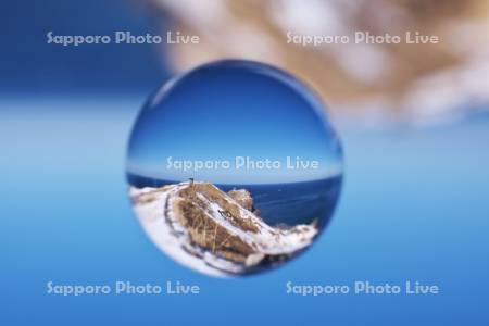 神威岬と日本海