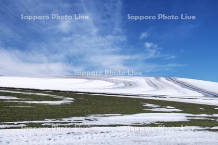 秋まき小麦と融雪剤散布の農地