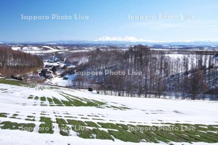 大雪山と秋まき小麦