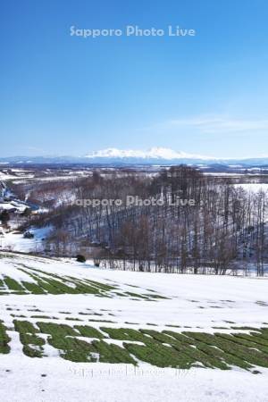 大雪山と秋まき小麦