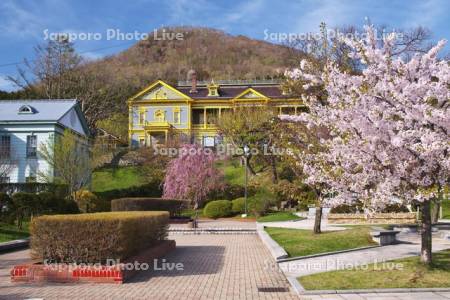 元町公園の桜と旧函館区公会堂と函館山