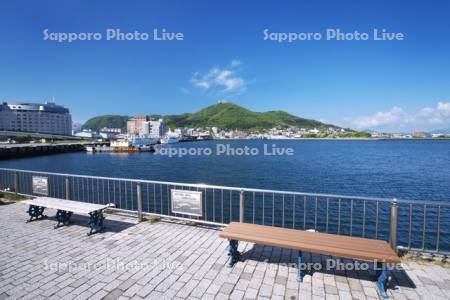 函館山と函館湾