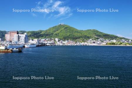 函館山と函館湾