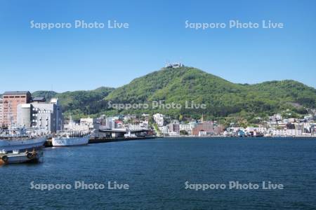 函館山と函館湾