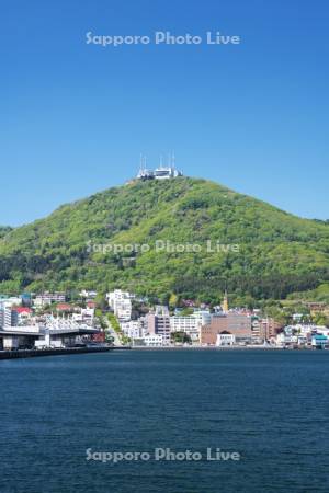 函館山と函館湾